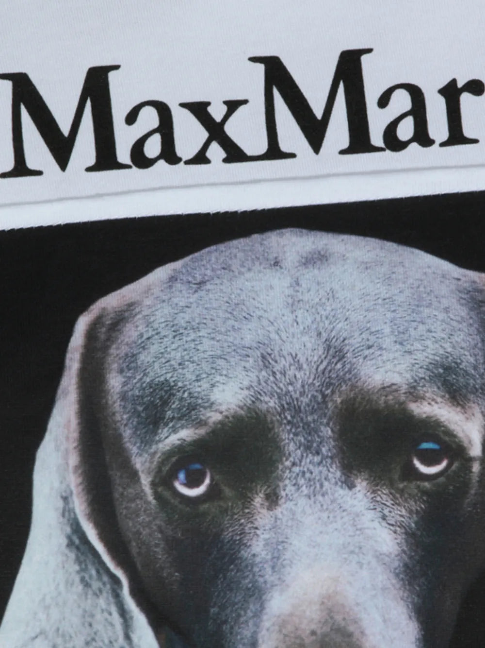 Max Mara Photographic-Print Logo T-Shirt in White, angle — The Quiet Edition