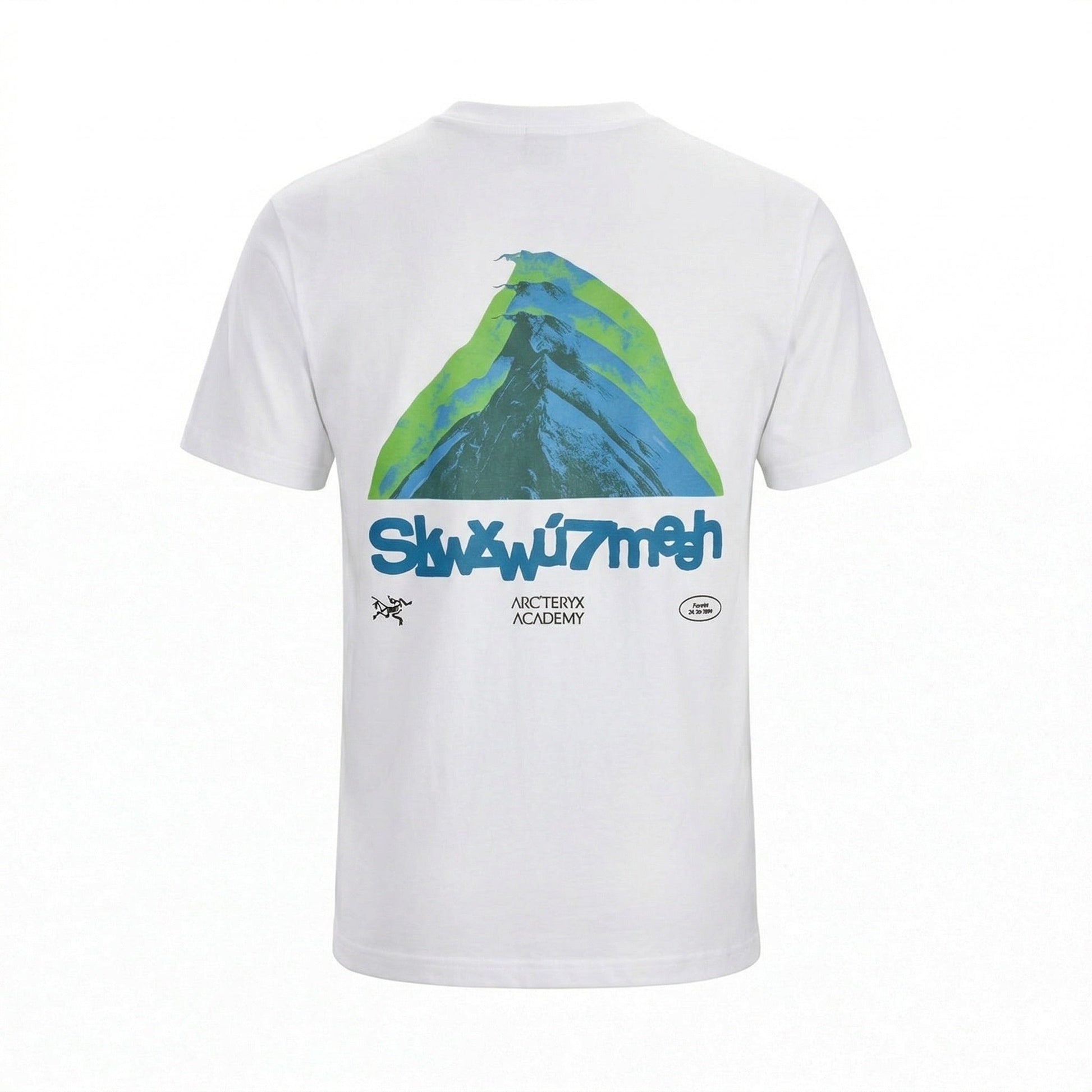 Arc'teryx graphic logo t-shirt in white, back graphic print — The Quiet Edition